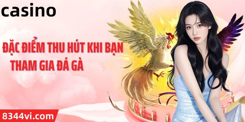 Hình ảnh quảng cáo của d89 hiển thị nền tảng và các lợi ích